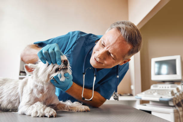 Best Emergency Tooth Extraction in Harleysville, PA